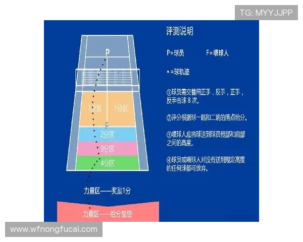 上海网球队防守体系解析与网球战术的深度探讨
