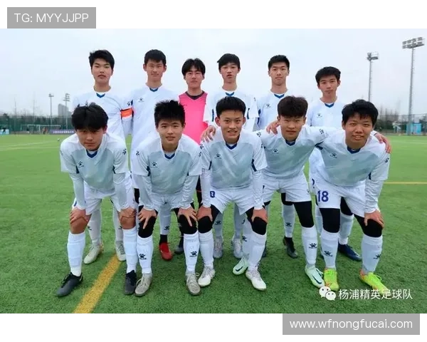 上海足球队的拼搏历程与锦标赛背后的故事揭秘