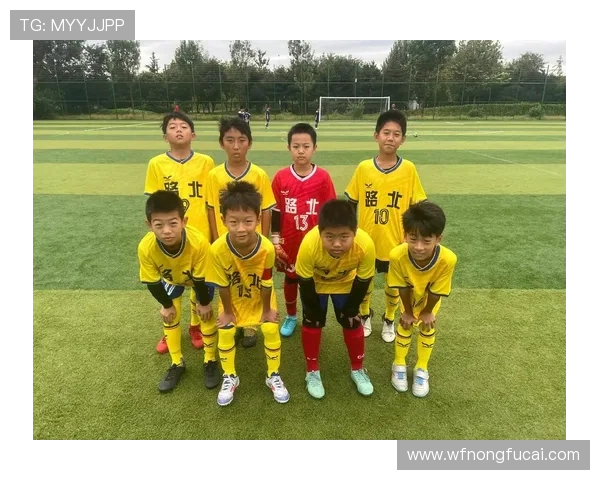 上海足球队逆袭之旅的真实记录与感人故事