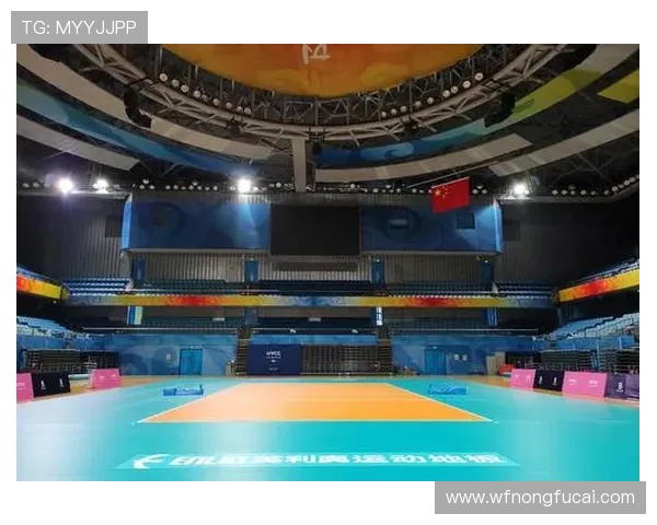 专业解读:武汉排球队的中路突破打法 专业解读:武汉排球队的中路突破打法