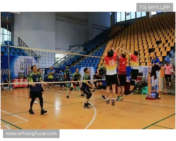 专访李强：探寻排球背后的成功秘诀与团队精神