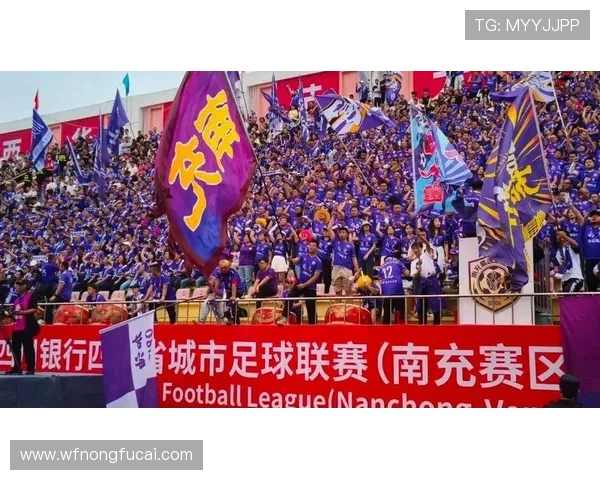 中国足球明星荣光闪耀赛场展现无与伦比的才华与拼搏精神