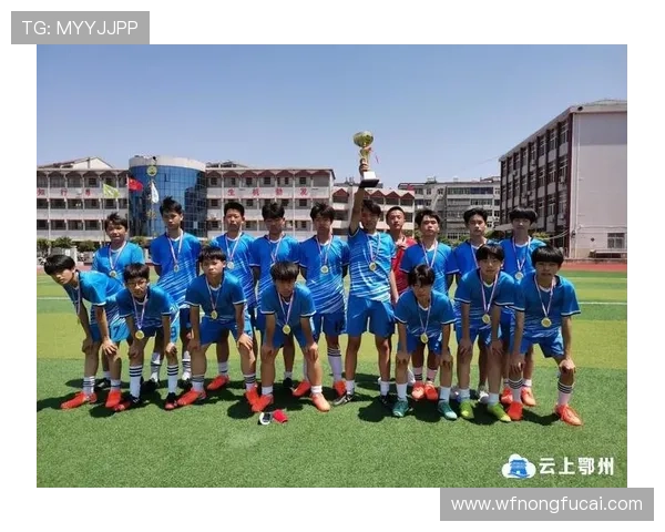 临澧县足球明星阵容正式揭晓各路球员齐聚展现风采