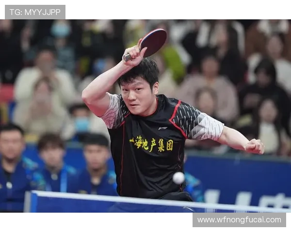 乒乓球战术评比揭晓上海乒乓球队荣登第九名引关注