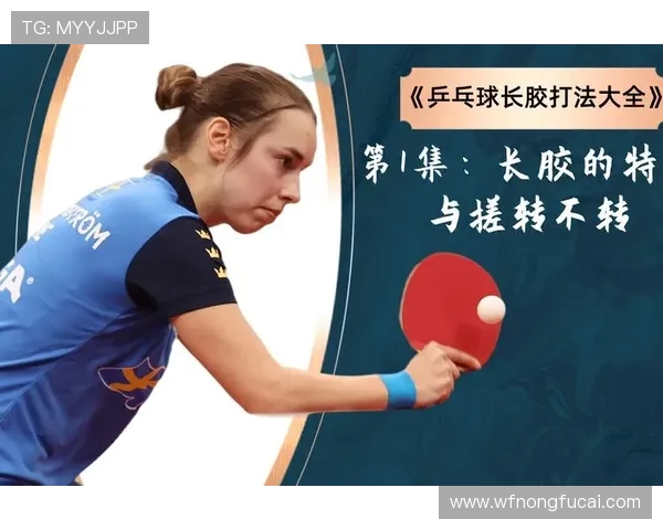 乒乓球新手必看战术入门指南助你快速提升技巧与水平 乒乓球新手必看战术入门指南助你快速提升技巧与水平
