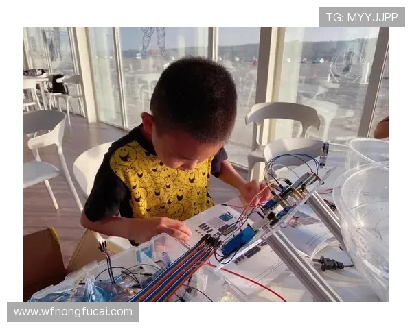 羽毛球场上的追梦旅程：刘磊的坚持与成长故事