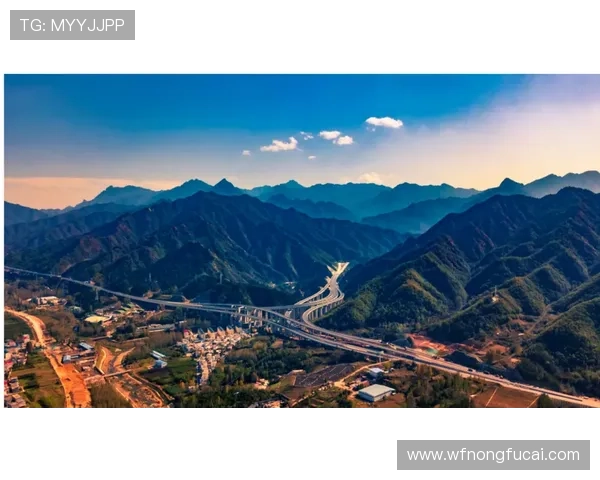 独家解析西安排球队速度对比及其战术影响分析