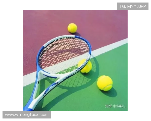 网球新手必看：从零基础到场上高手的全面入门指南